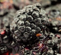 Соус из ежевики и неспелого винограда рецепт с фото