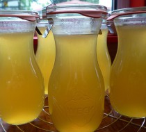 Лимонный сироп рецепт с фото